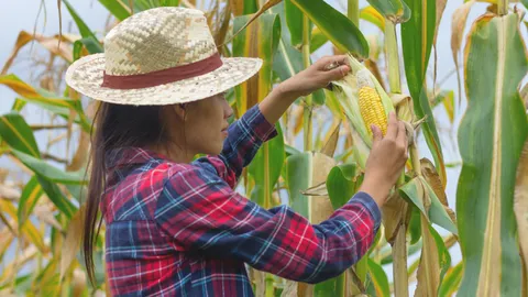 เกษตรกรปรับปรุงสมุดทะเบียน รอรับเงินช่วยเหลือจากรัฐบาล 15,000 บาท