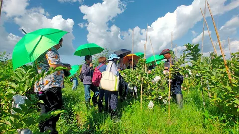 สามพรานโมเดลอัปเกรด ดันวิถีอินทรีย์สู่ท่องเที่ยว