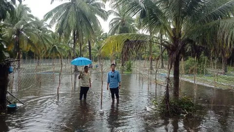 เกษตรจังหวัดปัตตานี เร่งช่วยดูแลเกษตรกรผู้ประสบภัยน้ำท่วมทั้ง 8 อำเภอ