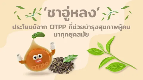 ‘ชาอู่หลง’ ประโยชน์จาก OTPP ที่ช่วยบำรุงสุขภาพผู้คนมาทุกยุคสมัย