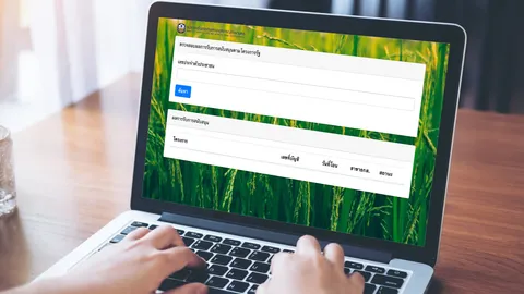 วิธีตรวจสอบสิทธิ์ รับเงิน "ประกันรายได้ข้าว ปี 64/65" ขั้นตอนไม่ยุ่งยาก