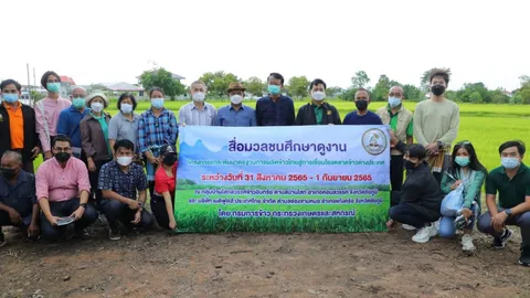 "กรมข้าว" นำสื่อเยี่ยมชมวิสาหกิจชุมชน ชัยภูมิ ผลิตข้าวอินทรีย์ส่งนอก