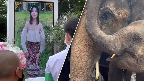 เผาศพน้องฟิล์ม ยูทูบเบอร์ ม.6 หนีครูไปตายในป่า ช้างคู่ซี้ "สุพรรษา" มาลา