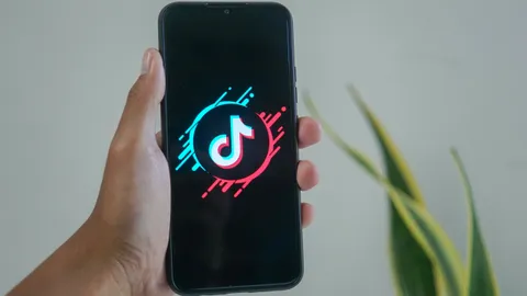 TikTok เผยตรวจพบบัญชีปลอมประจำไตรมาสที่ 2 ปี 2022 ทั้งสิ้น 33.6 ล้านบัญชี