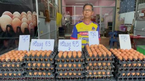 ขอนแก่นไข่ไก่ แพงสุดรอบ 20 ปี เหตุ “ปลดรอบแม่ไก่” 