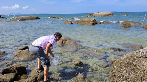 คุณภาพน้ำ "หาดบางแสน" กลับสู่ภาวะปกติแล้ว หลังเกิดปรากฏการณ์แพลงก์ตอนบลูม