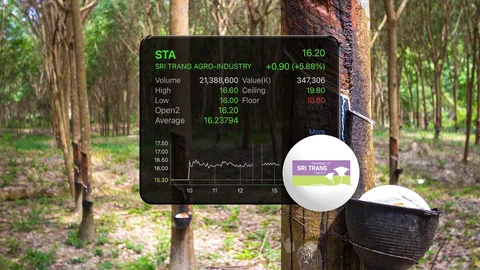 หุ้น STA ฟื้นจากหลุมบวก 33% ใน 13 วัน สวนทางนักวิเคราะห์หั่นเป้า คาดครึ่งปีหลังกำไรไม่ฟื้น