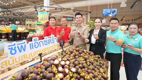 แม็คโคร-โลตัส ภายใต้ซีพี แอ็กซ์ตร้า ผนึกกรมการค้าภายใน รับซื้อมังคุดและผลไม้ใต้กว่าล้านกิโลกรัม