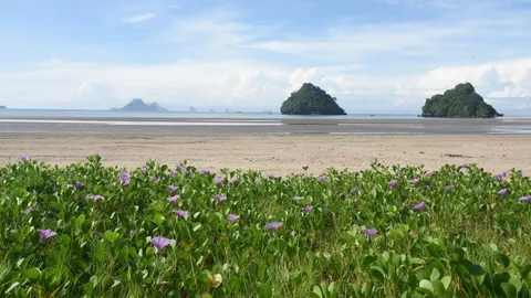 กรมอุทยานแห่งชาติฯ เปิดหาดนพรัตน์ธารา-หมู่เกาะพีพี ส่งเสริมการท่องเที่ยวอย่างยั่งยืน