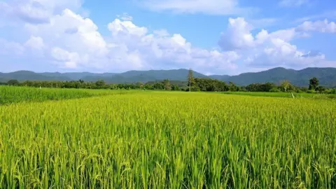 สศก.ปักธงลดก๊าซเรือนกระจก 1 ล้านตัน จ่อใช้แอ็กชันแพลน 5 ปีสู้ Climate Change