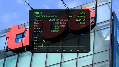 TRUE บวกแรง หลังกำไรหลักมาไวกว่าคาด หวัง Synergy ดีแทคช่วยลดต้นทุน ดันหุ้นพุ่ง 62% จากต้นปี
