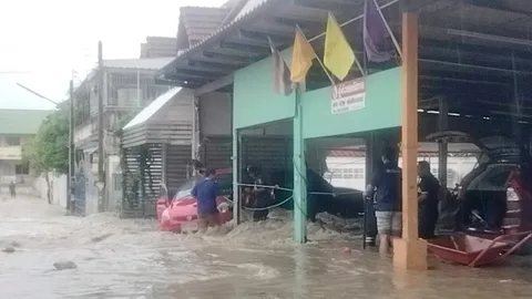 ฝนถล่มหนัก (คลิป)