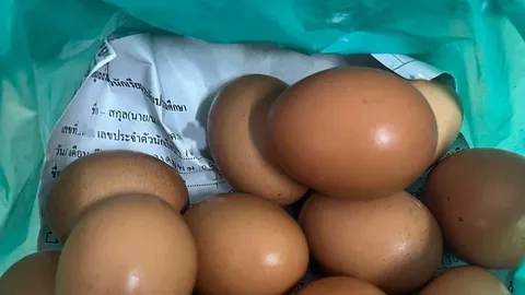 เจออีกแล้ว "กระดาษรองไข่ไก่" มีข้อมูลส่วนตัวเด็กประถม-พ่อแม่ครบจนน่ากลัว