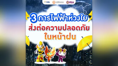 3 การไฟฟ้าห่วงใยส่งต่อความปลอดภัยในหน้าฝน