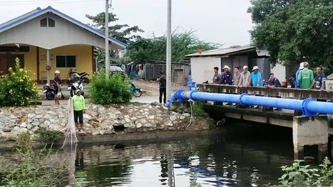 ประมงประจวบฯ นำชาวประมงท้องถิ่นจับปลาหมอคางดำตามคลอง ก่อนวางแผนกำจัดใหญ่