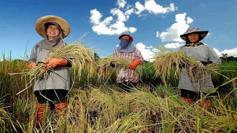 ดัชนีความสุขเกษตรกร