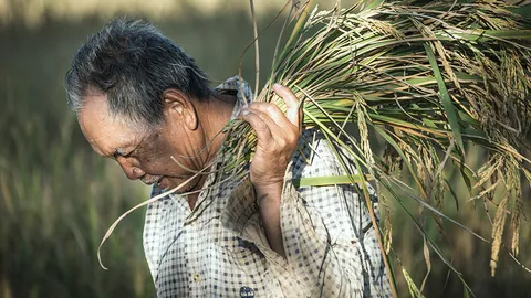 เศรษฐกิจไทย “ฟื้นตัว” แค่ภาพใหญ่? จับชีพจรภูมิภาค เปราะบางแค่ไหน ภาคเกษตรฉุด “อีสาน” ฟื้นช้าสุด 