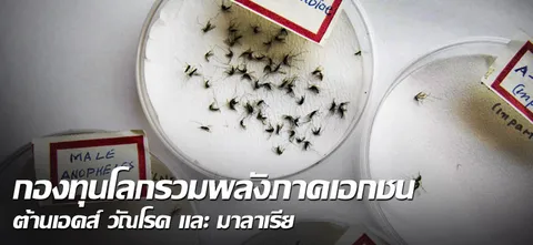 กองทุนโลกรวมพลังภาคเอกชน ต้านเอดส์ วัณโรค และ มาลาเรีย