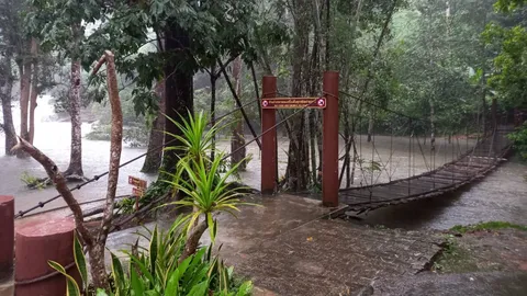 ปิด "น้ำตก-ถ้ำนาคี" ชั่วคราว หลังฝนหนัก-น้ำป่าทะลักอุทยานฯ ภูลังกา