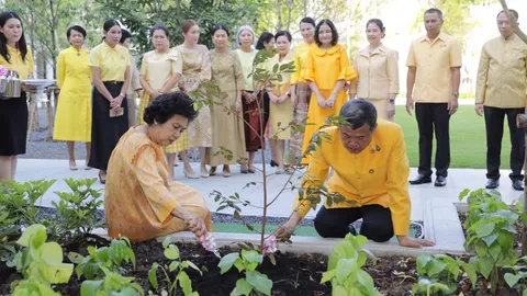 ปลัด มท.-ดร.วันดี ปลูก “ต้นพลองใหญ่-ต้นรวงผึ้ง” สนองพระราชดำริสร้างความยั่งยืนให้กับโลก