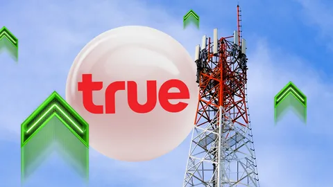 TRUE โชว์กำไรไตรมาส 3 หลังการปรับปรุง3.1 พันล้าน  EBITDA พุ่ง  รับรู้ประโยชน์จากควบรวม 