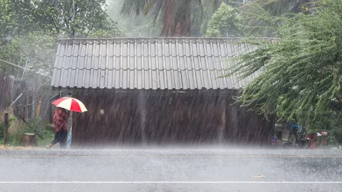 อุตุฯ ฉบับ 8 เช็กจังหวัดภาคใต้เจอฝนตกหนัก - ภาคเหนืออุณหภูมิลดลงอีก