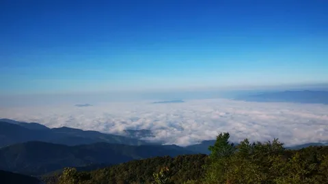 อากาศหนาวเย็นต่อเนื่อง เช้านี้ "ดอยอินทนนท์" อุณหภูมิต่ำสุด 8 องศาฯ