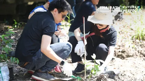 ปลูกป่าเพิ่มพื้นที่สีเขียว สานต่อ SEA Steps To Change