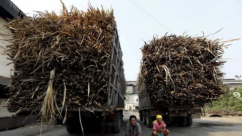 ปล่อยน้ำตาลลอยตัวเสรีปีหน้า คำนวณราคาอ้อยขั้นต้นตามราคาส่งออก-ตลาดโลก