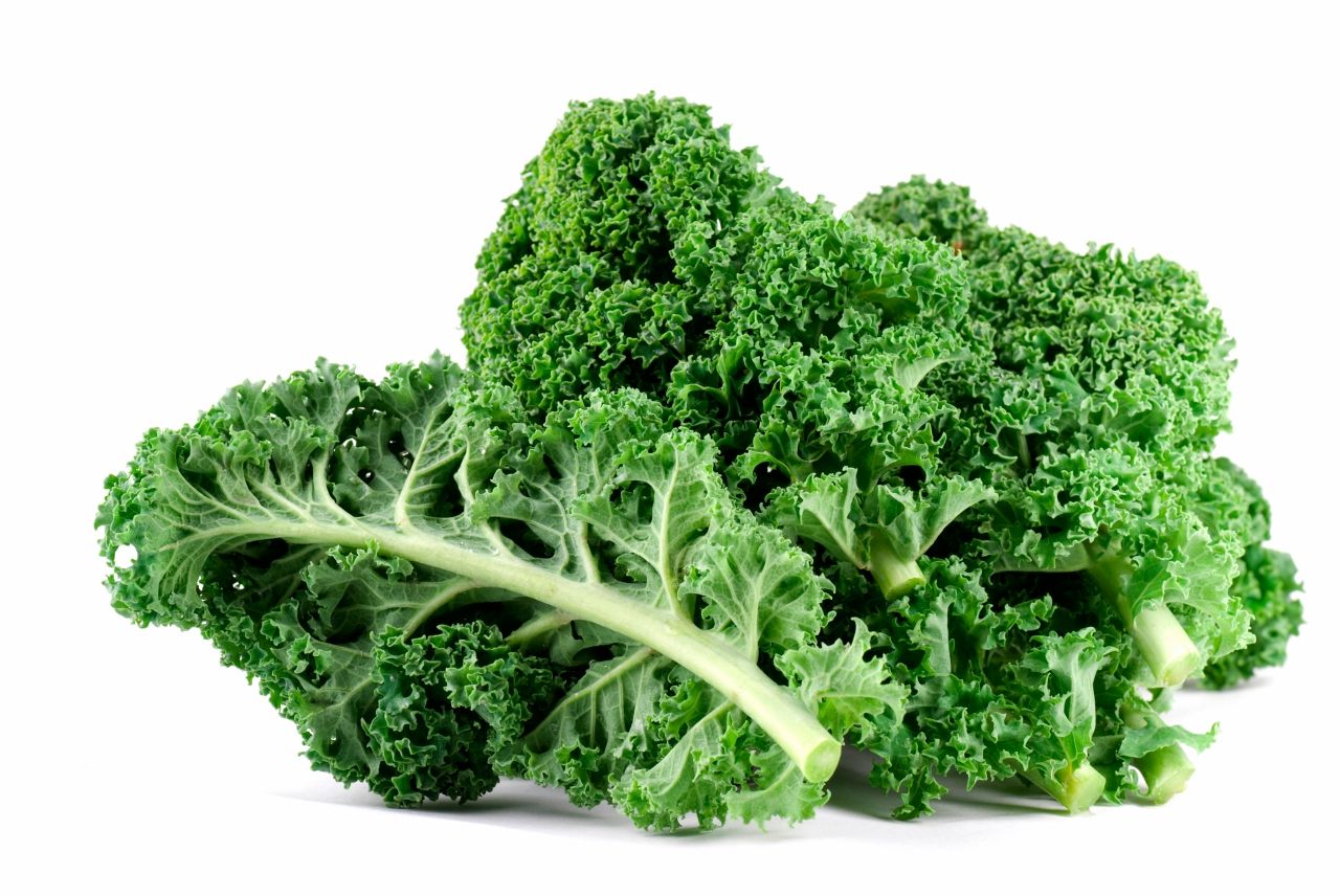 เคลใบหยิก (Curly Kale) 