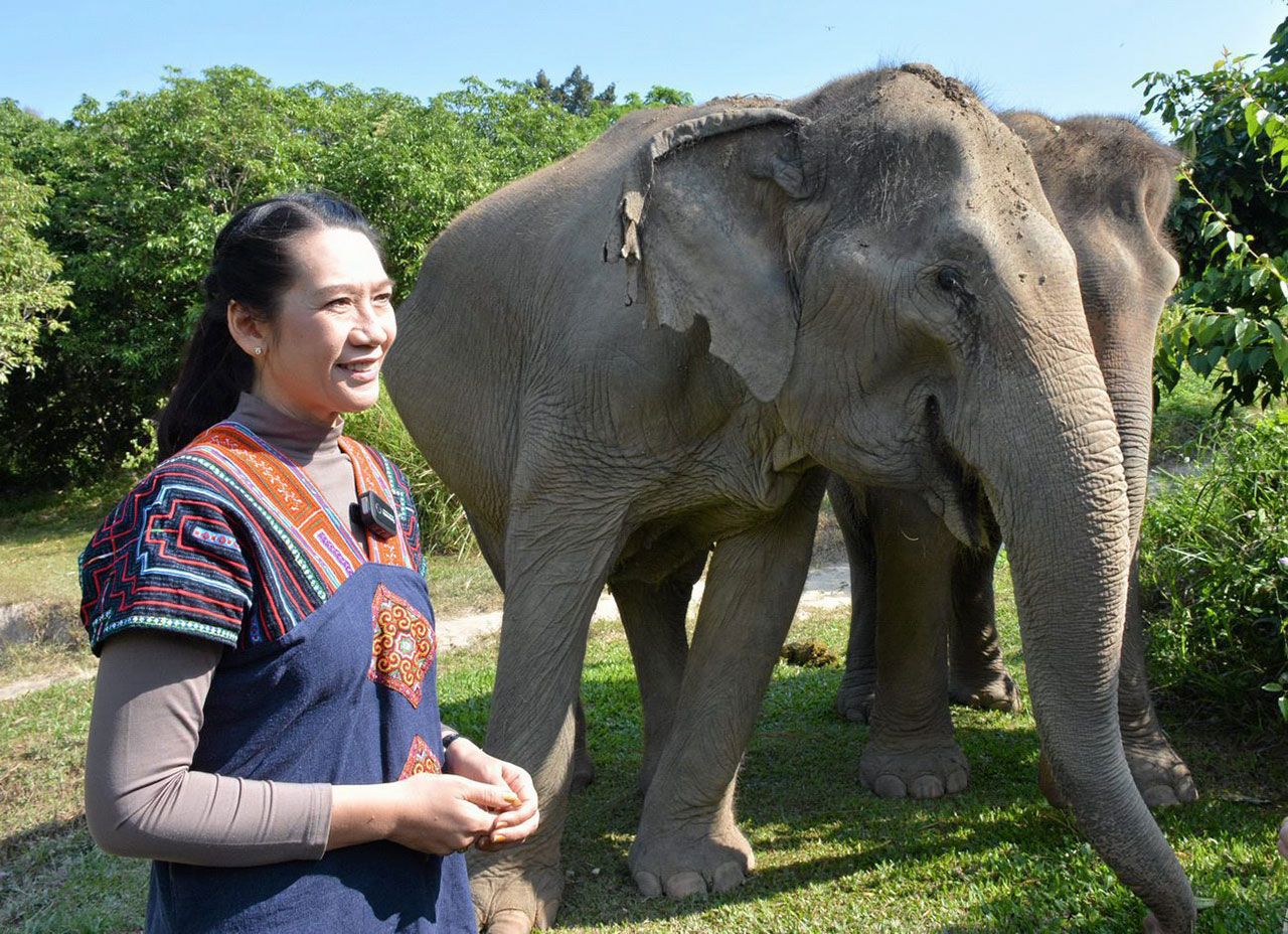 นางอัญชลี กัลมาพิจิตร กก.ผจก.ใหญ่ปางช้างแม่สา ยืนยิ้มท่ามกลางสู้พิษไวรัสโควิด-19 ต้องปิดปางช้างชั่วคราว ดิ้นสู้ทั้งคนและช้างให้อยู่รอด.