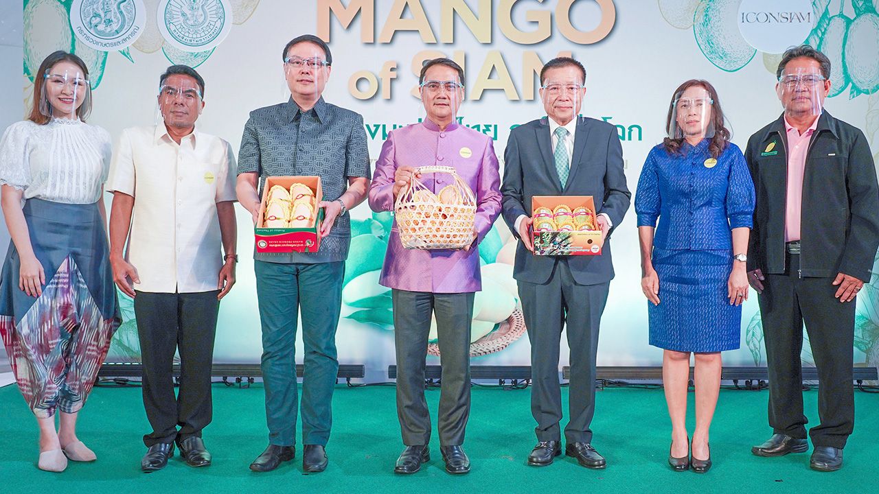 ไปกินมะม่วง - นราพัฒน์ แก้วทอง ผช.รมต.เกษตรและสหกรณ์ เปิดงาน “Mango of SIAM ที่สุดแห่งมะม่วงไทย ถูกใจทั่วโลก” เทศกาลมะม่วงหลากหลายสายพันธุ์ โดยมี สมชัย ตัณมานะศิริ, กุลฤดี พัฒนะอิ่ม และ สุพจน์ ชัยวัฒน์ศิริกุล มาร่วมงานด้วย ที่ไอคอนสยาม วันก่อน.