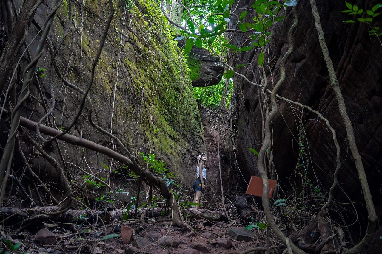 ภาพจากเพจอุทยานแห่งชาติภูลังกา จังหวัดนครพนม 