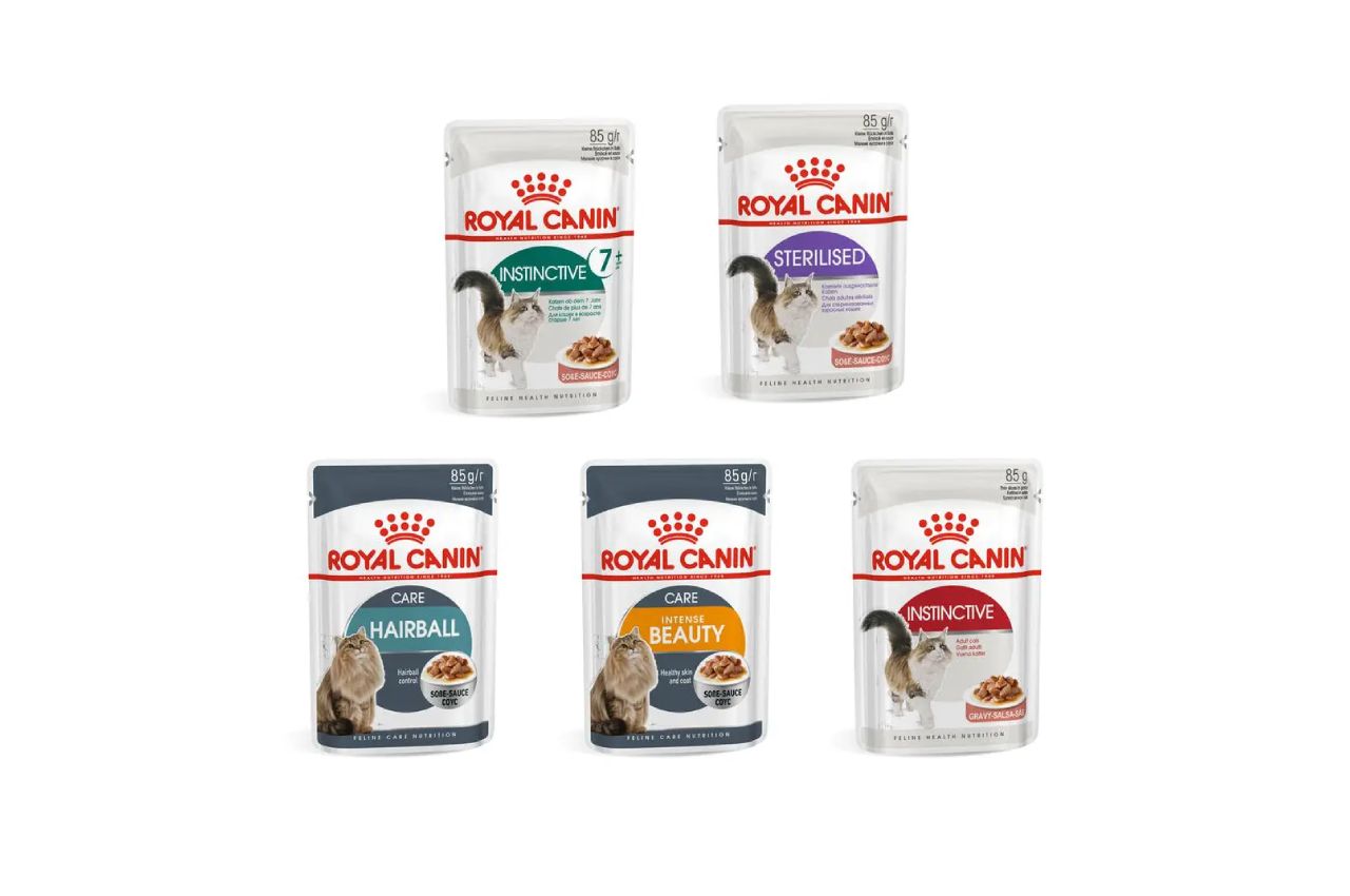 อาหารเปียกแมว Royal Canin