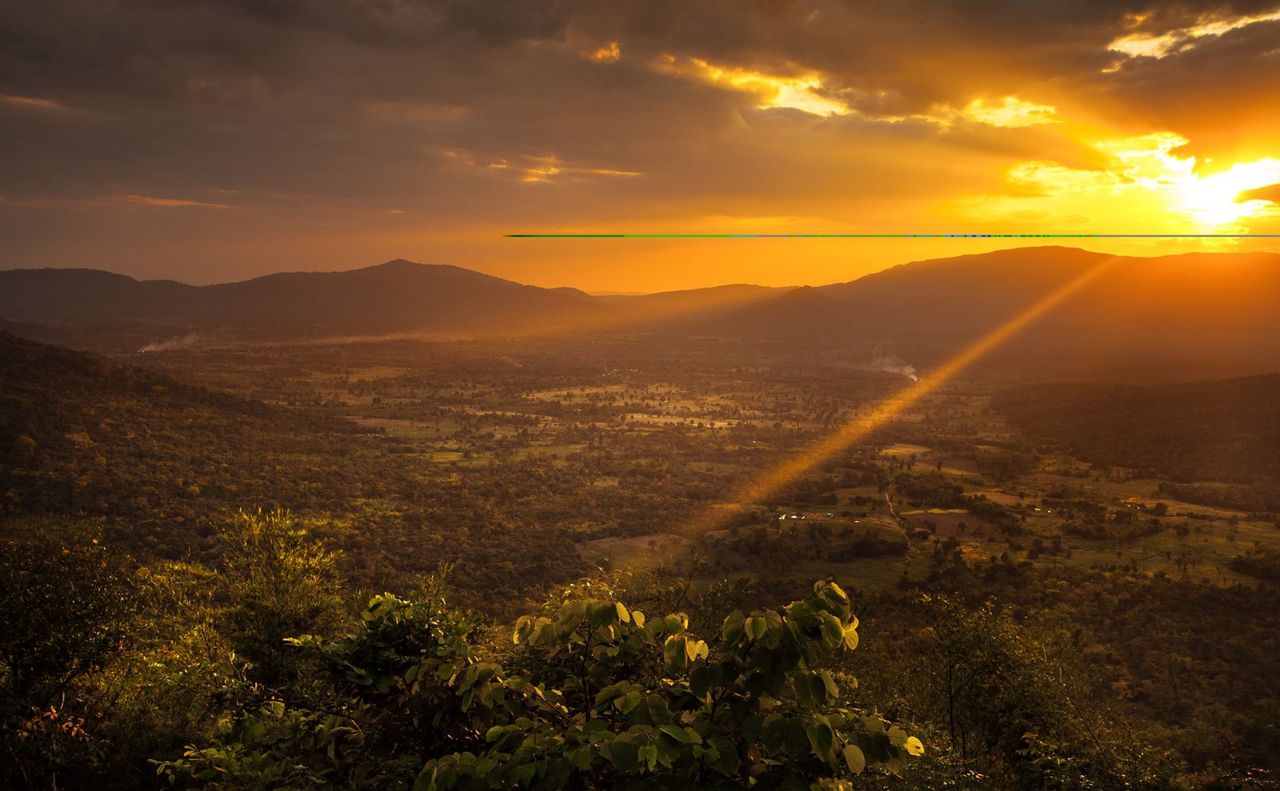 เครดิตภาพ : อุทยานแห่งชาติทับลาน - Thap Lan National Park 