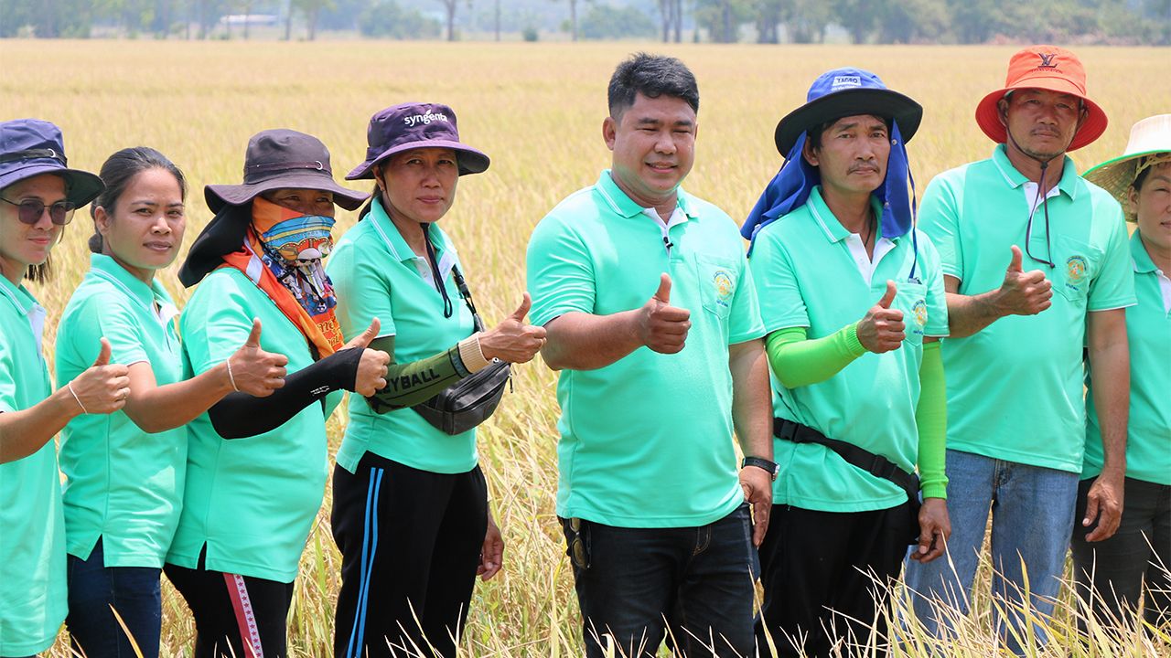 นายธีระพงษ์ สารนอก ประธานศูนย์ข้าวชุมชนบ้านบัวทอง อ.ลานกระบือ จ.กำแพงเพชร พร้อมสมาชิกที่รวมกลุ่มภายใต้โครงการผลิตและกระจายเมล็ดพันธุ์ข้าวคุณภาพ ตรา “ดอกบัวสีทอง”.