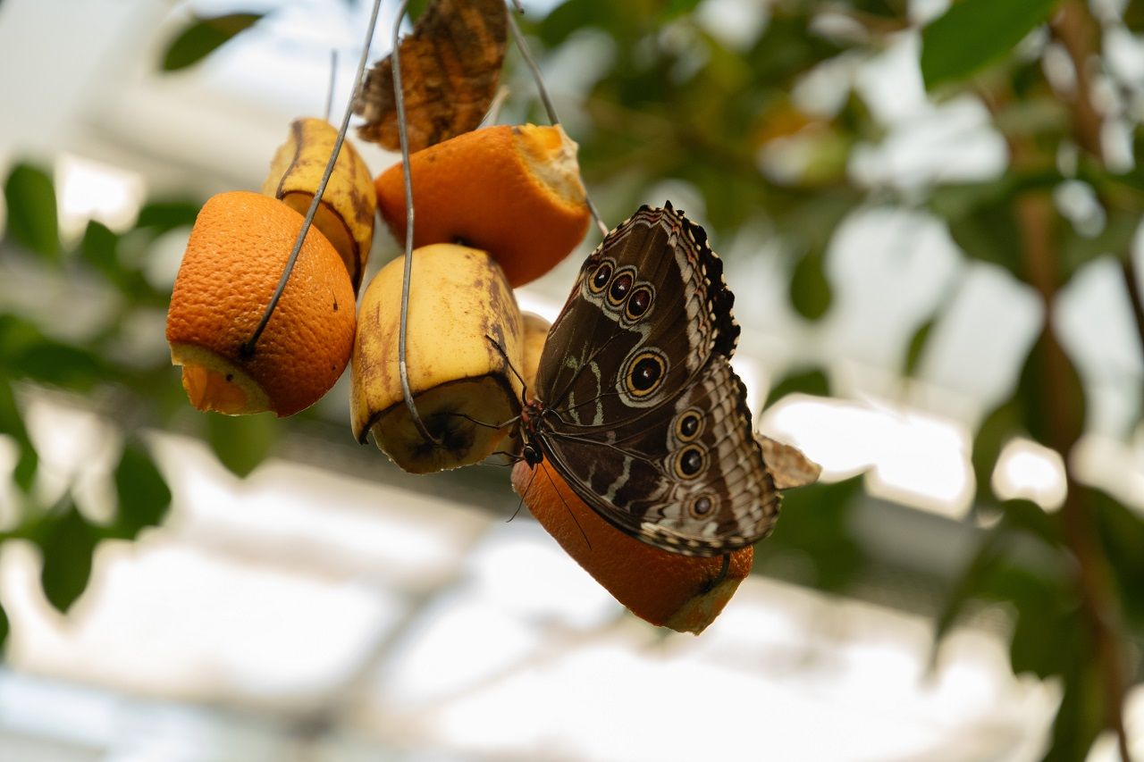 ภาพจาก iStock