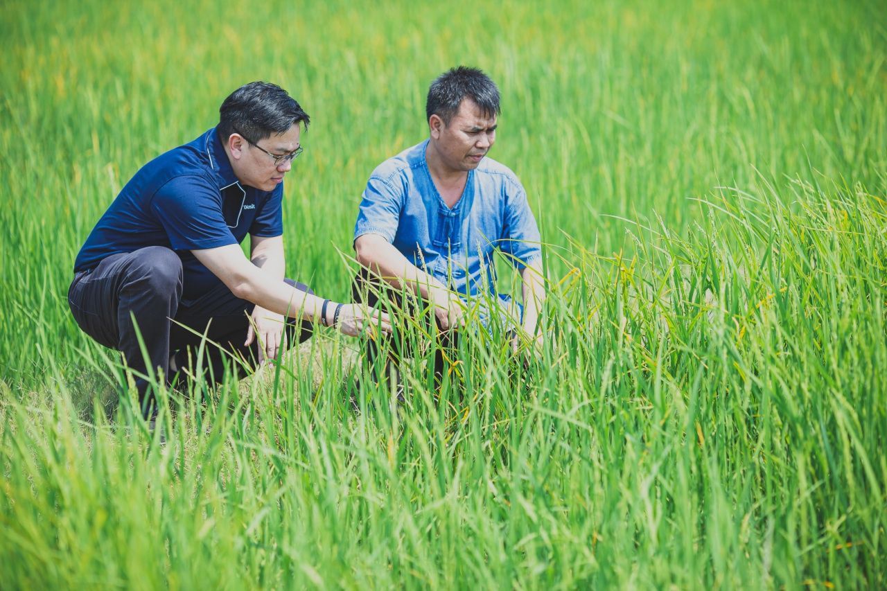 กลุ่มโรงแรมในเครือดุสิตธานี ใช้ข้าวออร์แกนิก 100% เสิร์ฟให้กับลูกค้าและพนักงาน ซึ่งเป็นข้าวที่ได้มาจากเกษตรกรที่เครือดุสิตไปร่วมโครงการด้วย ภาพจาก กลุ่มดุสิตธานี