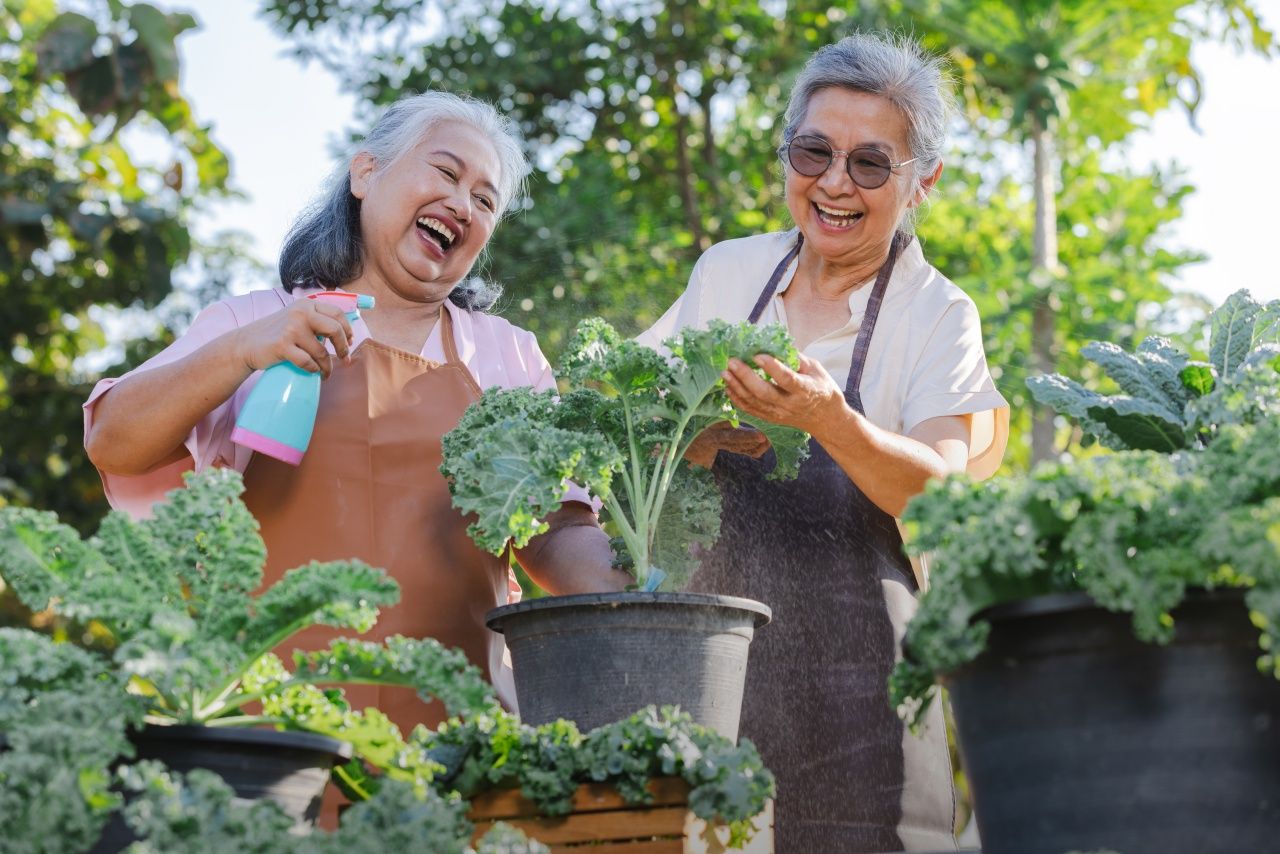 ภาพจาก iStock