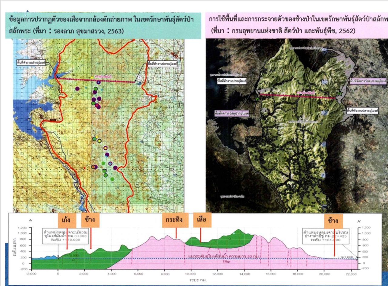 เสือ ช้าง ที่พบในป่าสลักพระ