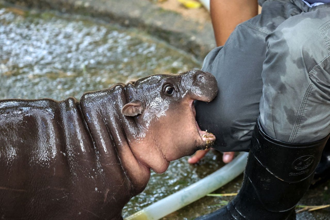 REUTERS/Athit Perawongmetha