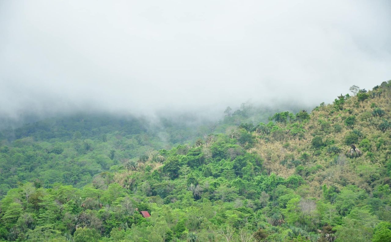 เครดิตภาพ : อุทยานแห่งชาติทับลาน - Thap Lan National Park 