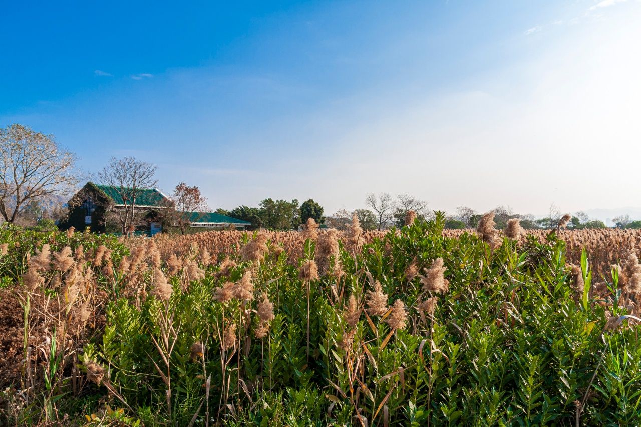 ภาพจาก iStock