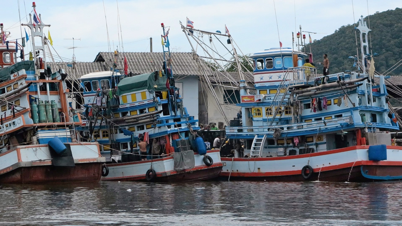 ประมงปากพนัง ประกาศขายเรือ 100 ลำ ทำปะการังเทียม