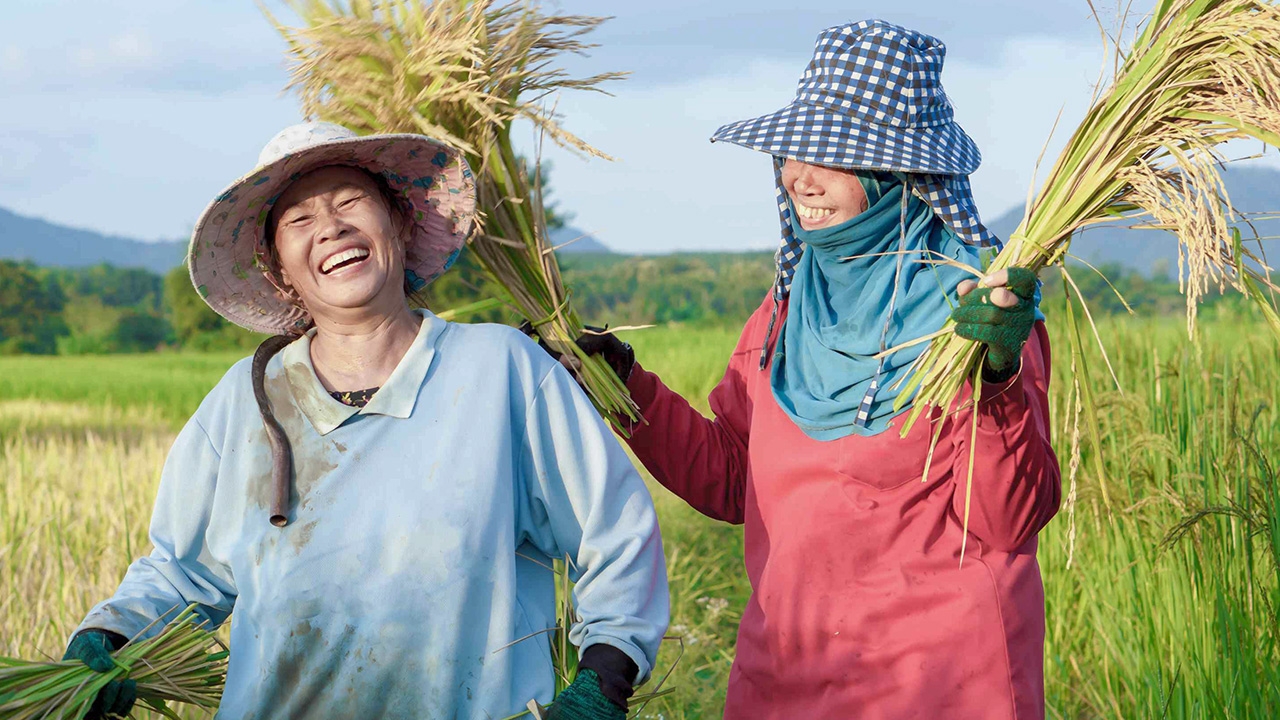 ธ.ก.ส.พักหนี้เกษตรกร 1 ปีไม่ต้องลงทะเบียน สู้โควิด-19 ภัยแล้งมาเยือน