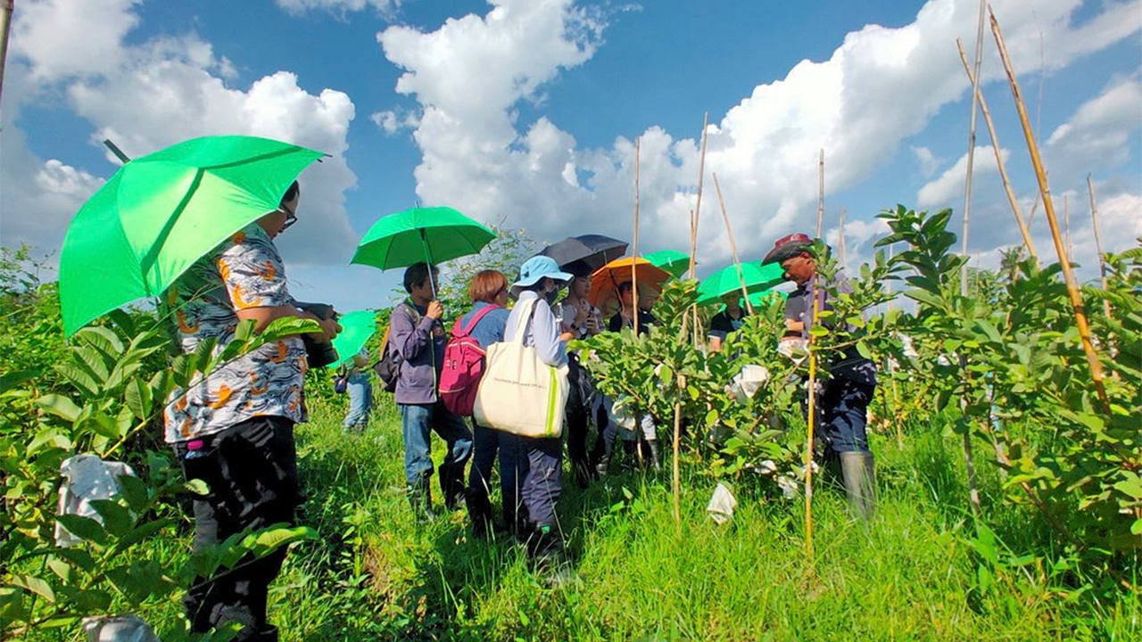 สามพรานโมเดลอัปเกรด ดันวิถีอินทรีย์สู่ท่องเที่ยว