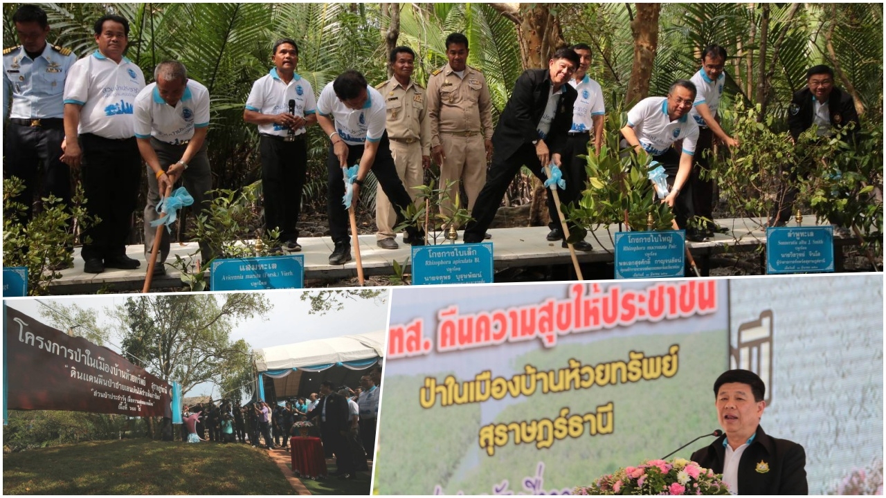 เปิดป่าในเมืองสุราษฎร์ฯ 3 แห่ง เพิ่มพื้นที่สีเขียว-แหล่งเรียนรู้