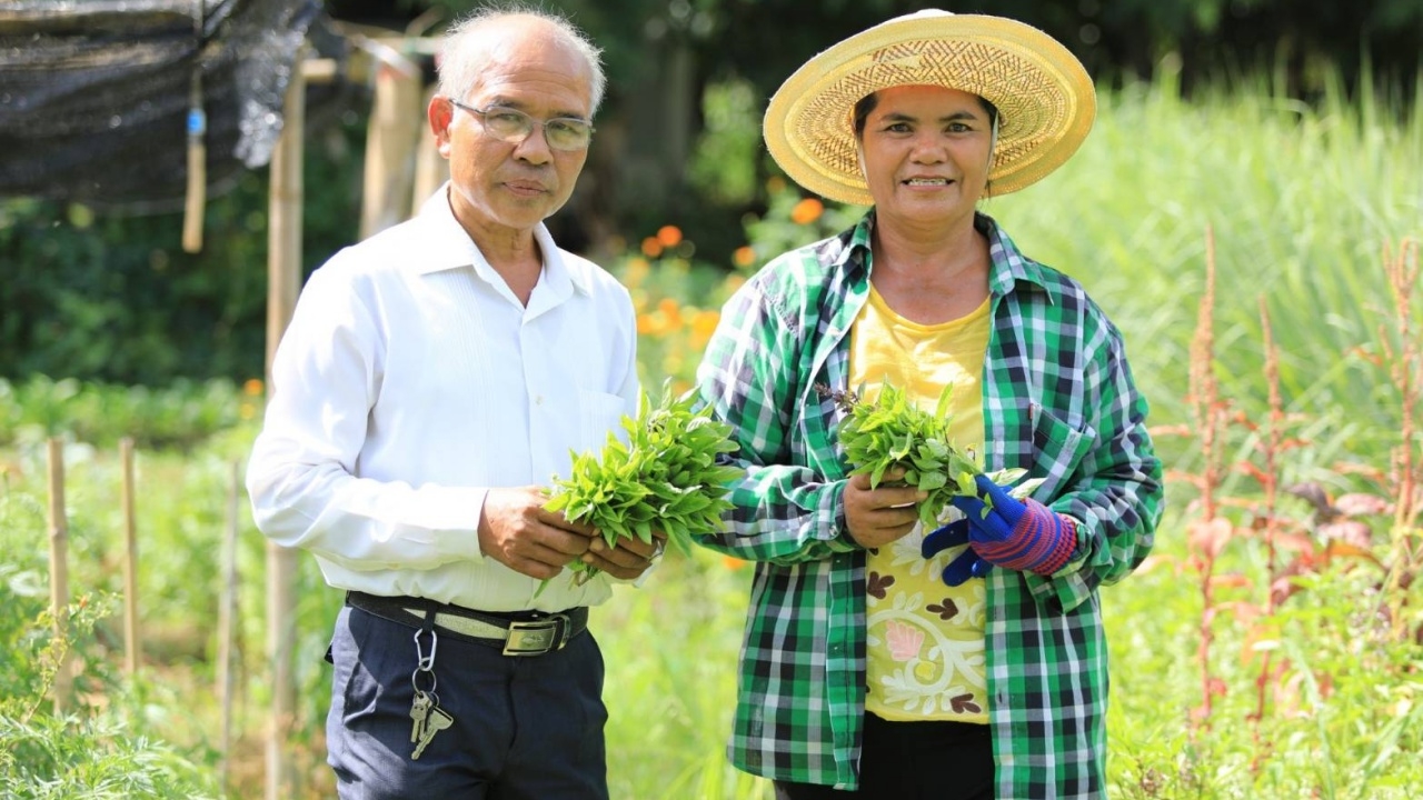 บ้านโคกพลวงโมเดล ยึดแนวพระราชดำริ ปลูกหญ้าแฝก แก้ปัญหาดินเสื่อมโทรม