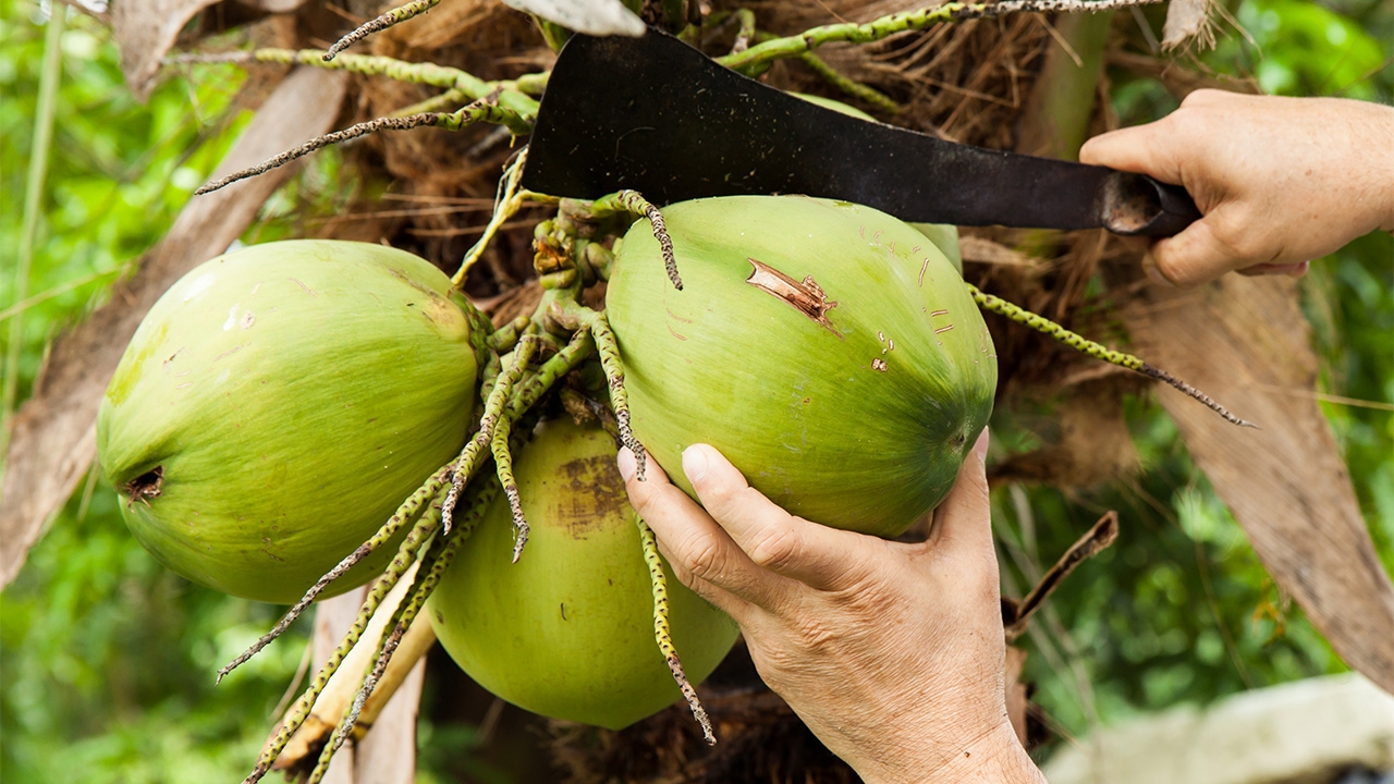 ขึ้นทะเบียนจีไอต่างประเทศ