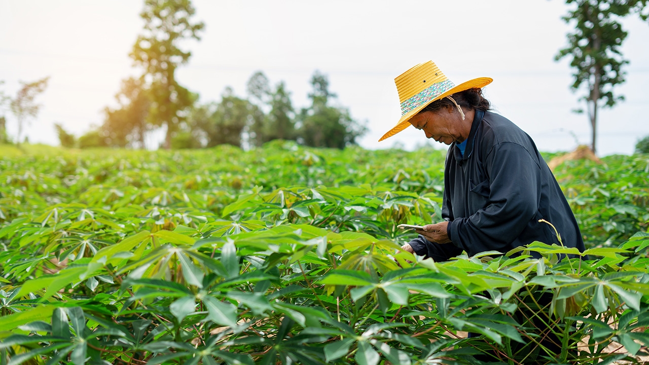 รัฐทุ่ม 4 หมื่นล้านบาท เดินหน้า “บีซีจีโมเดล” เกษตรกรมีเงินเพิ่มปีละแสน